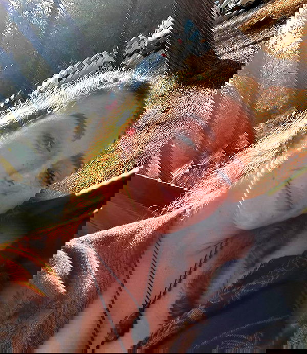 mishel116 mishel116 archive image