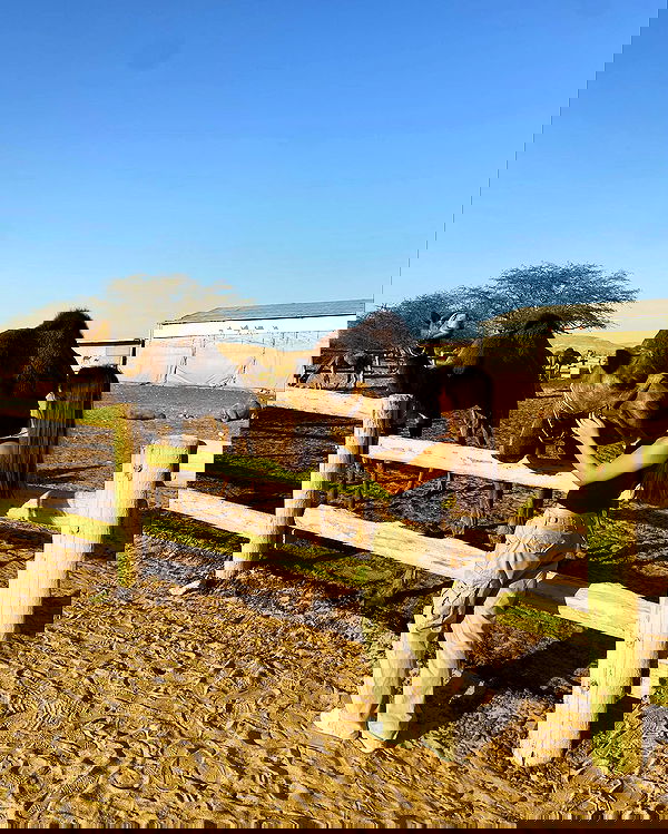 mishel_llll mishel_llll archive image