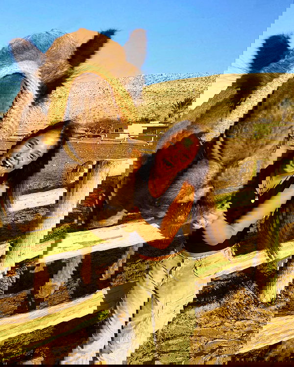 mishel_llll mishel_llll archive image