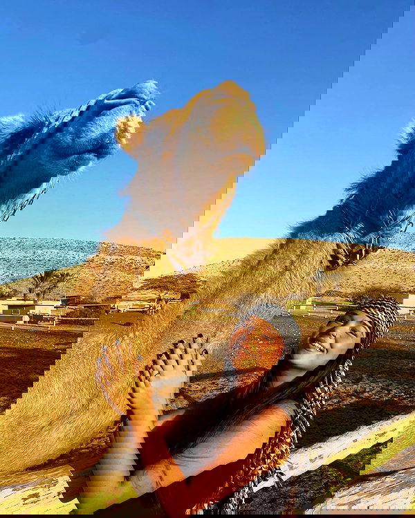 mishel_llll mishel_llll archive image