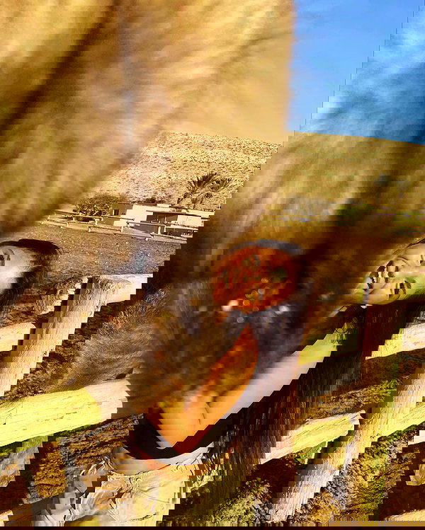 mishel_llll mishel_llll archive image