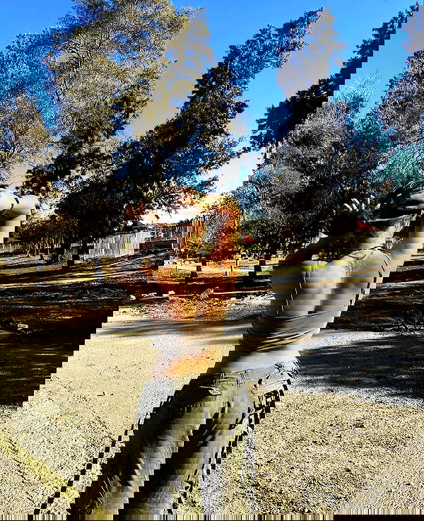 mishel_llll mishel_llll archive image