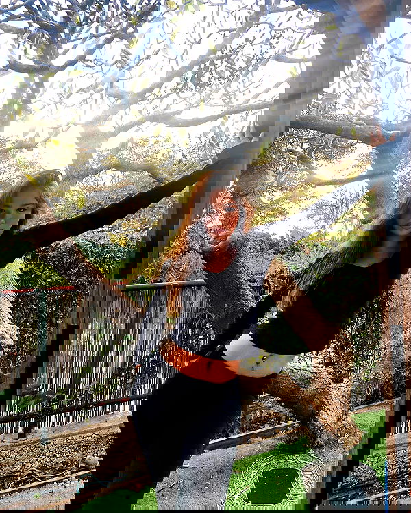 mishel_llll mishel_llll archive image