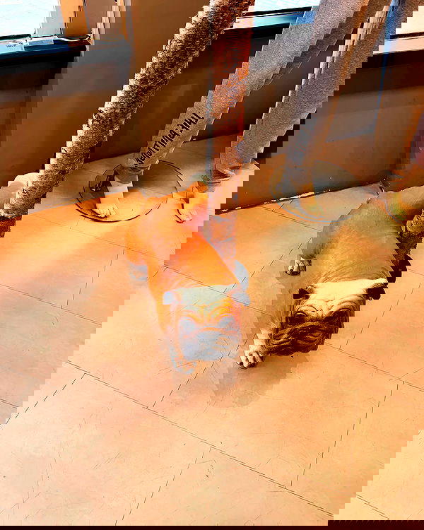 mishel_llll mishel_llll archive image