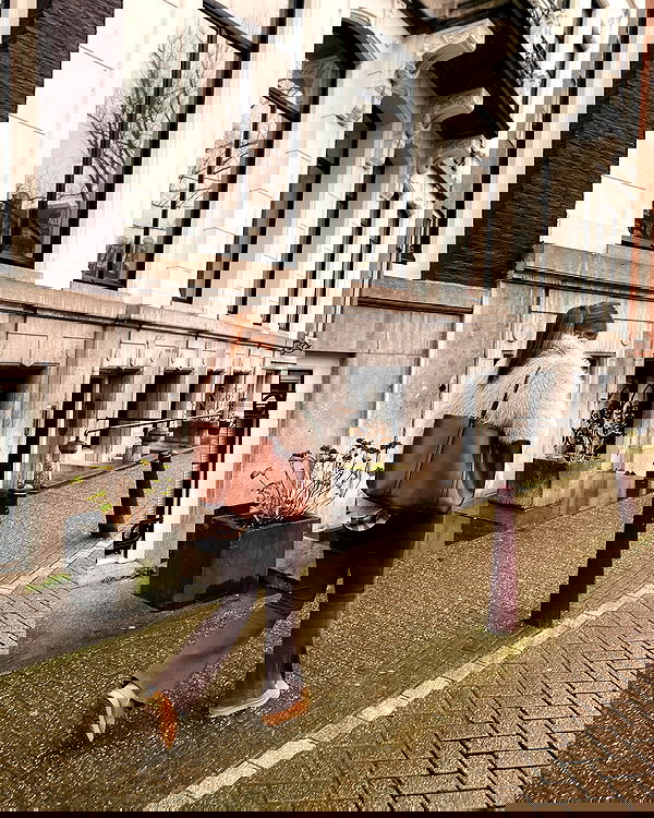 mishel_llll mishel_llll archive image