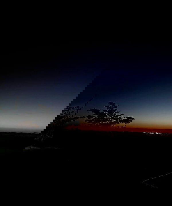 mishel_llll mishel_llll archive image