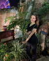 missbrisolo Altpins Profile Picture