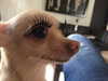 missbrisolo Altpins Profile Picture