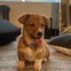 missbrisolo Altpins Profile Picture