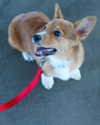 missbrisolo Altpins Profile Picture