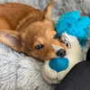 missbrisolo Altpins Profile Picture