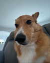 missbrisolo Altpins Profile Picture