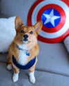 missbrisolo Altpins Profile Picture