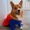 missbrisolo Altpins Profile Picture