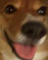 missbrisolo Altpins Profile Picture
