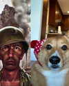 missbrisolo Altpins Profile Picture