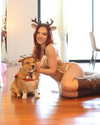 missbrisolo Altpins Profile Picture