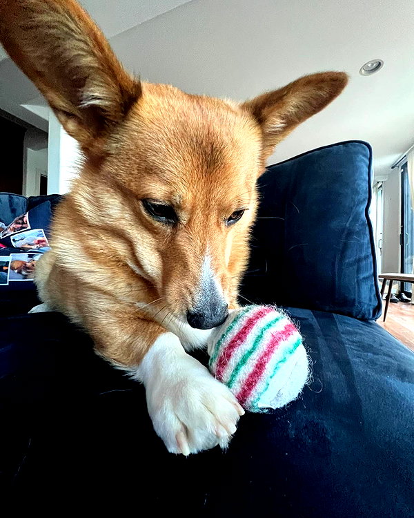 missbrisolo instagram image archive image