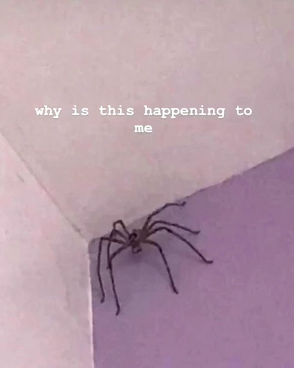 missbrisolo instagram image archive image