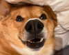 missbrisolo Altpins Profile Picture
