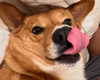 missbrisolo Altpins Profile Picture