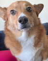 missbrisolo Altpins Profile Picture