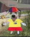 missbrisolo Altpins Profile Picture