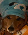 missbrisolo Altpins Profile Picture