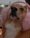 missbrisolo Altpins Profile Picture
