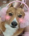 missbrisolo Altpins Profile Picture