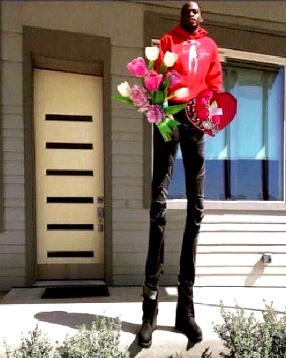 missbrisolo instagram image archive image