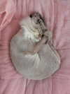 missy.ts Altpins Profile Picture