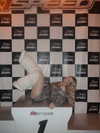 missy.ts Altpins Profile Picture
