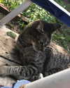 mittzaa_ Altpins Profile Picture