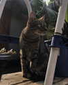 mittzaa_ Altpins Profile Picture