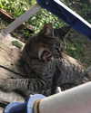 mittzaa_ Altpins Profile Picture
