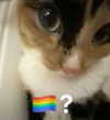 mittzaa_ Altpins Profile Picture