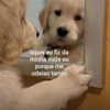mittzaa_ Altpins Profile Picture