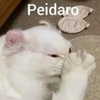 mittzaa_ Altpins Profile Picture