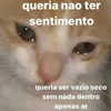 mittzaa_ Altpins Profile Picture