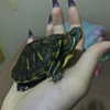 mittzaa_ Altpins Profile Picture