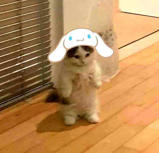 mittzaa_ instagram image archive image