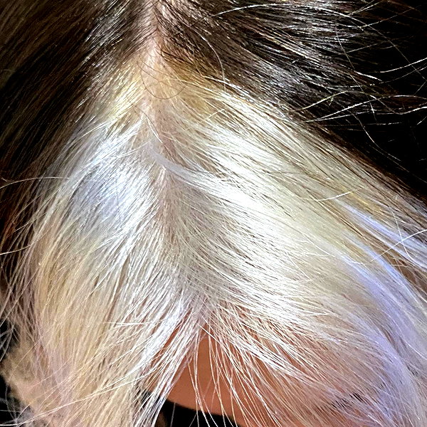 mittzaa_ instagram image archive image