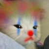 mittzaa_ Altpins Profile Picture