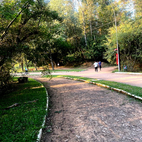 mittzaa_ instagram image archive image