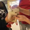 mittzaa_ Altpins Profile Picture