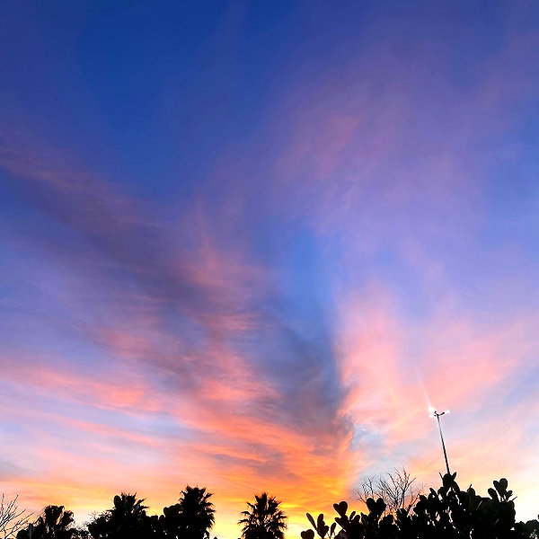mittzaa_ instagram image archive image