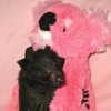 mittzaa_ Altpins Profile Picture