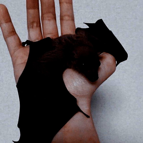 mittzaa_ instagram image archive image