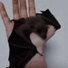 mittzaa_ Altpins Profile Picture
